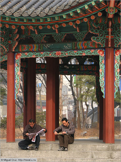 South Korea: Seoul: Reading in Tapgol Park