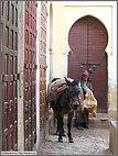 Donkey and door