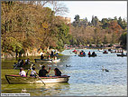 Canoeing in Chapultepec