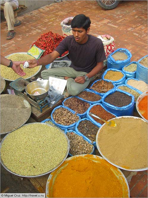 Nepal: Kathmandu: Spice seller