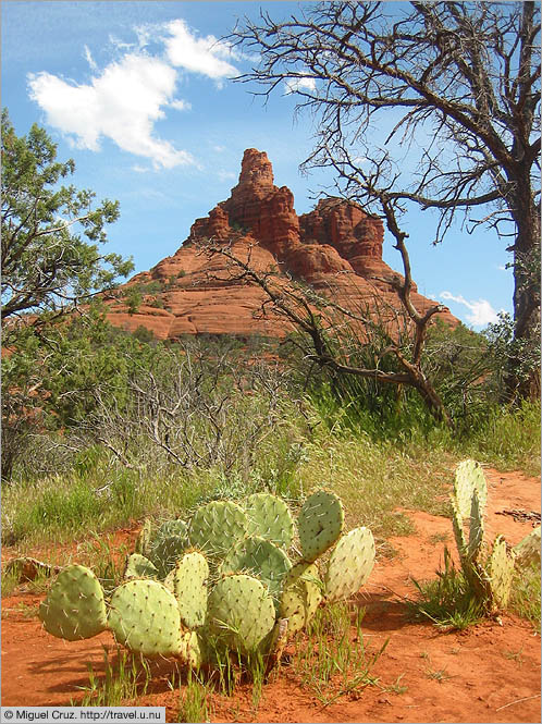 United States: Arizona: Bell Rock, outside Sedona